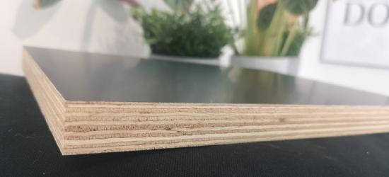 32 x Schalungsplatte NEU 100 m2