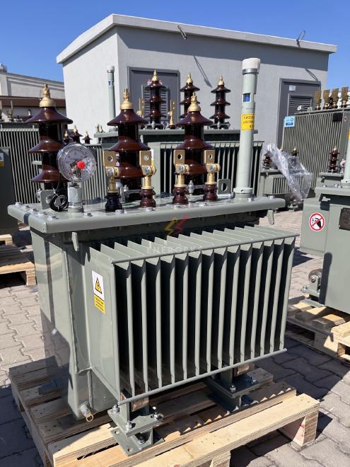 100 kVA HS: 20kV / NS: 0.4 kV
